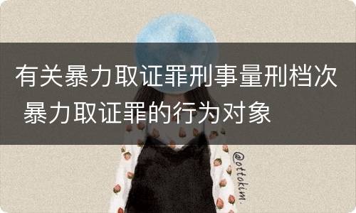 有关暴力取证罪刑事量刑档次 暴力取证罪的行为对象