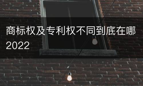 商标权及专利权不同到底在哪2022