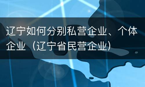 辽宁如何分别私营企业、个体企业（辽宁省民营企业）
