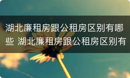 湖北廉租房跟公租房区别有哪些 湖北廉租房跟公租房区别有哪些地方