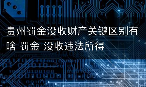 贵州罚金没收财产关键区别有啥 罚金 没收违法所得