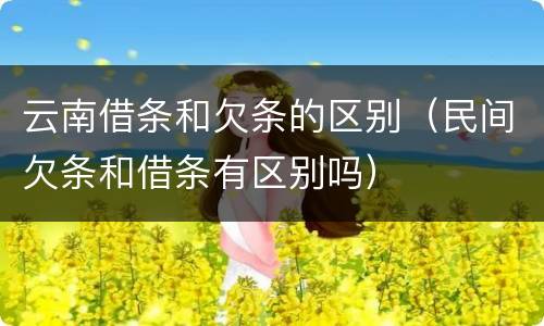 云南借条和欠条的区别（民间欠条和借条有区别吗）
