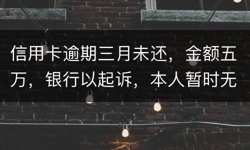 信用卡逾期三月未还，金额五万，银行以起诉，本人暂时无偿还能力