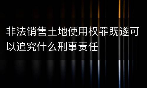 非法销售土地使用权罪既遂可以追究什么刑事责任