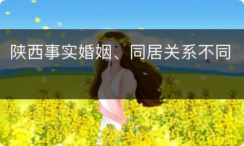 陕西事实婚姻、同居关系不同