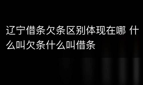 辽宁借条欠条区别体现在哪 什么叫欠条什么叫借条