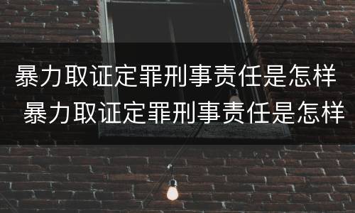 暴力取证定罪刑事责任是怎样 暴力取证定罪刑事责任是怎样定义的
