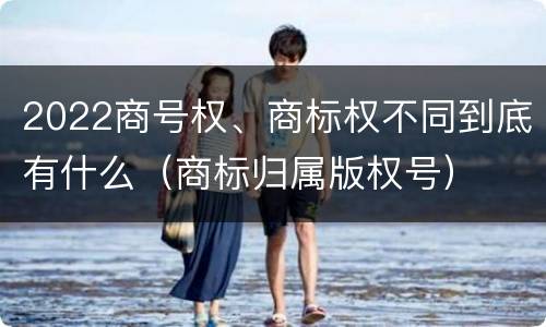 2022商号权、商标权不同到底有什么（商标归属版权号）