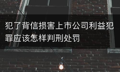 犯了背信损害上市公司利益犯罪应该怎样判刑处罚