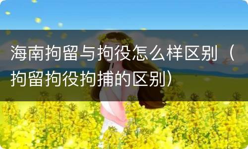 海南拘留与拘役怎么样区别（拘留拘役拘捕的区别）