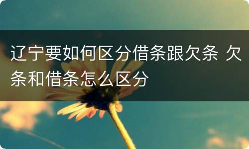 辽宁要如何区分借条跟欠条 欠条和借条怎么区分