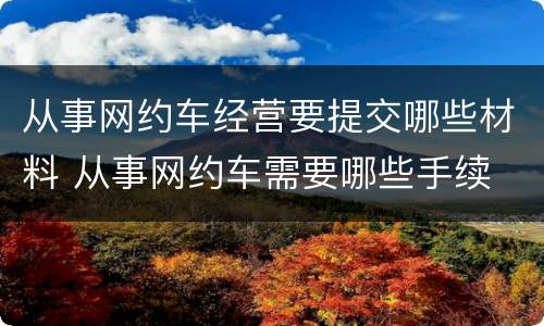 从事网约车经营要提交哪些材料 从事网约车需要哪些手续