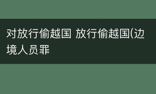 对放行偷越国 放行偷越国(边境人员罪