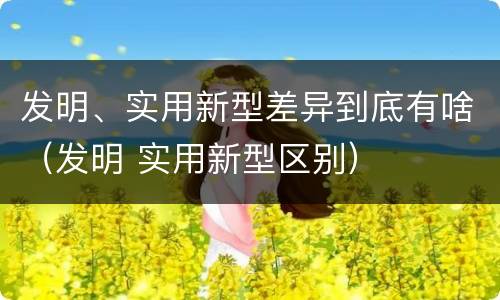 发明、实用新型差异到底有啥（发明 实用新型区别）