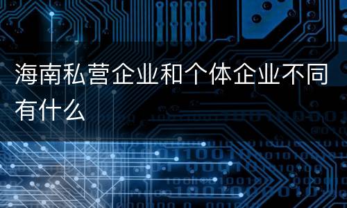 海南私营企业和个体企业不同有什么