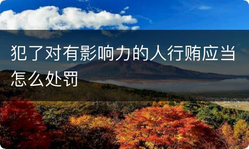 犯了对有影响力的人行贿应当怎么处罚