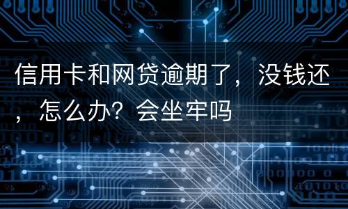 信用卡和网贷逾期了，没钱还，怎么办？会坐牢吗