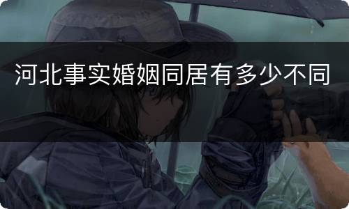 河北事实婚姻同居有多少不同