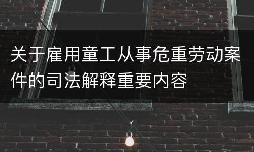 关于雇用童工从事危重劳动案件的司法解释重要内容
