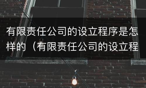 有限责任公司的设立程序是怎样的（有限责任公司的设立程序是怎样的形式）