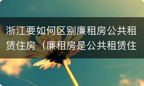 浙江要如何区别廉租房公共租赁住房（廉租房是公共租赁住房吗）