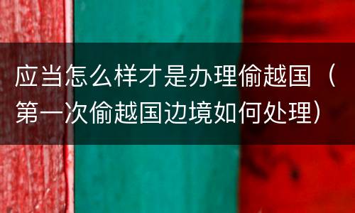 应当怎么样才是办理偷越国（第一次偷越国边境如何处理）