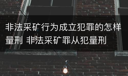 非法采矿行为成立犯罪的怎样量刑 非法采矿罪从犯量刑