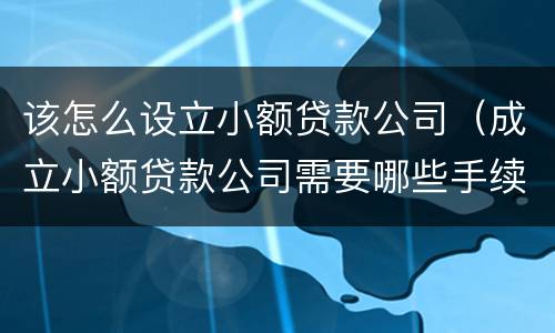 该怎么设立小额贷款公司（成立小额贷款公司需要哪些手续）
