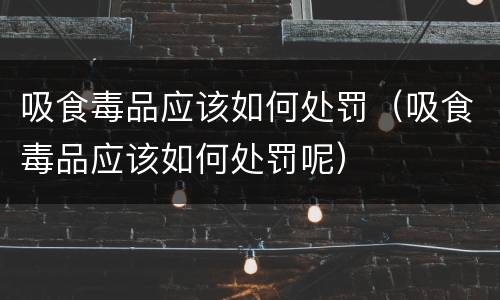 吸食毒品应该如何处罚（吸食毒品应该如何处罚呢）