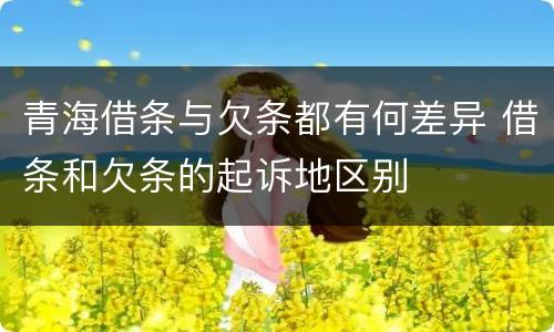 青海借条与欠条都有何差异 借条和欠条的起诉地区别