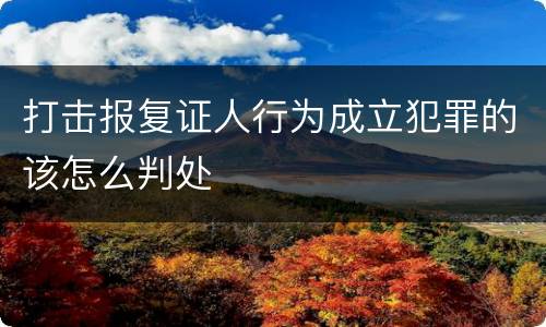 打击报复证人行为成立犯罪的该怎么判处