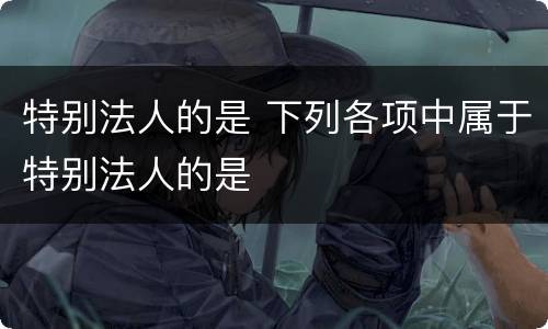 特别法人的是 下列各项中属于特别法人的是
