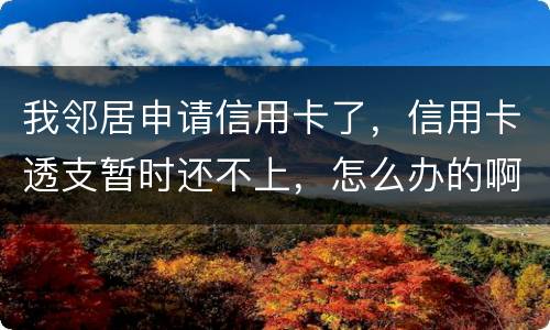 我邻居申请信用卡了，信用卡透支暂时还不上，怎么办的啊