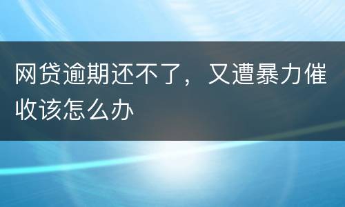 网贷逾期还不了，又遭暴力催收该怎么办