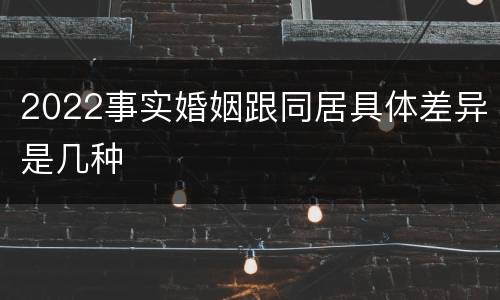 2022事实婚姻跟同居具体差异是几种