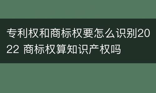 专利权和商标权要怎么识别2022 商标权算知识产权吗