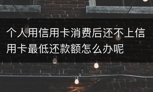 个人用信用卡消费后还不上信用卡最低还款额怎么办呢