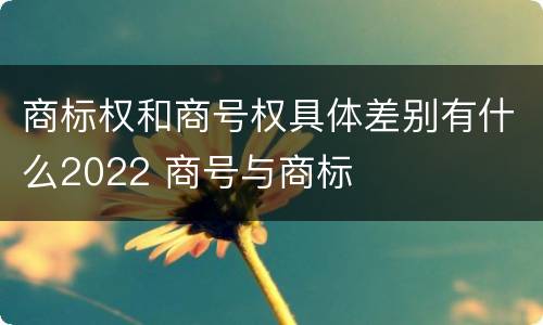 商标权和商号权具体差别有什么2022 商号与商标