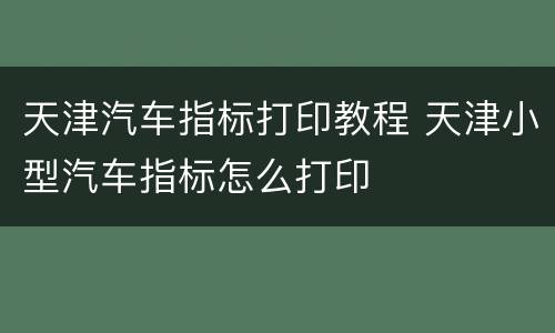 天津汽车指标打印教程 天津小型汽车指标怎么打印