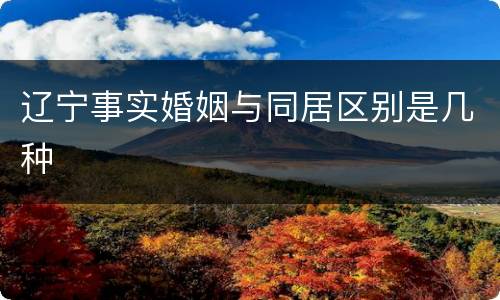 辽宁事实婚姻与同居区别是几种