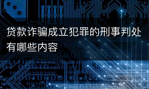 贷款诈骗成立犯罪的刑事判处有哪些内容
