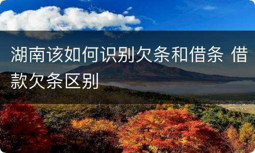 湖南该如何识别欠条和借条 借款欠条区别