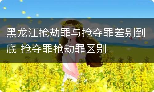 黑龙江抢劫罪与抢夺罪差别到底 抢夺罪抢劫罪区别