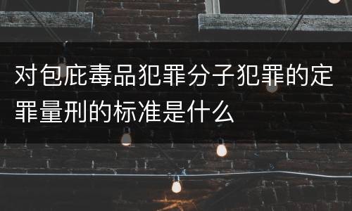 对包庇毒品犯罪分子犯罪的定罪量刑的标准是什么