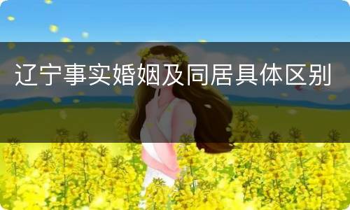 辽宁事实婚姻及同居具体区别