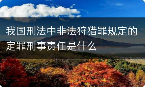 我国刑法中非法狩猎罪规定的定罪刑事责任是什么