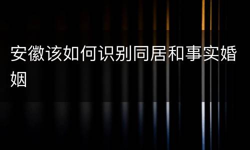 安徽该如何识别同居和事实婚姻