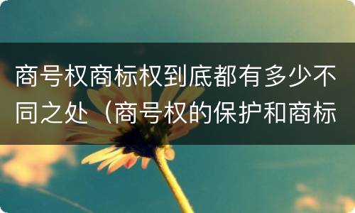 商号权商标权到底都有多少不同之处（商号权的保护和商标权的保护一样是全国性范围的）