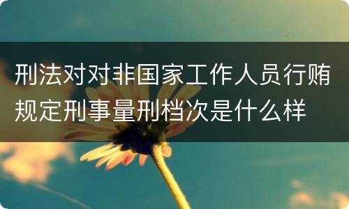 刑法对对非国家工作人员行贿规定刑事量刑档次是什么样