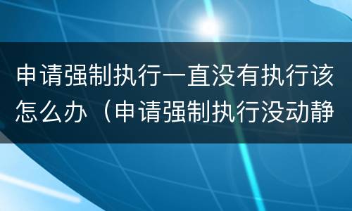申请强制执行一直没有执行该怎么办（申请强制执行没动静）